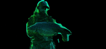 CarpDeal GIF