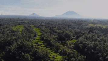 Drone Bali GIF by Womenwhodrone