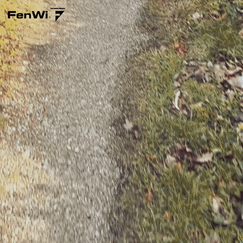 FenWi GIF