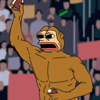 ponkehq-monkey-ponke-ponkesol-Oqvf3ehoZQOdLIv2wq