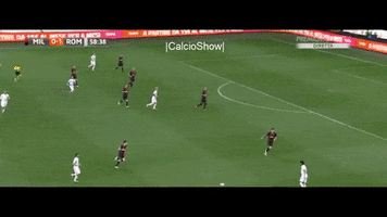 tancredinho  GIF