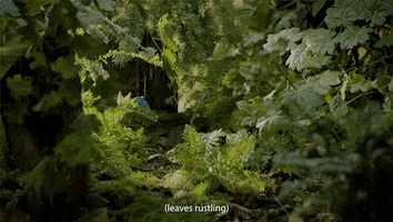 Forest Wolves GIF by Xbox