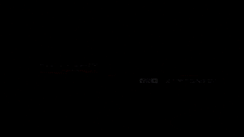 Race Racecar GIF by STM Tuned Inc.