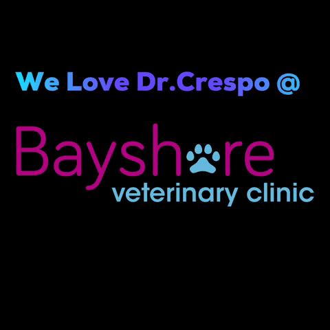 Bayshore Veterinary Clinic GIF