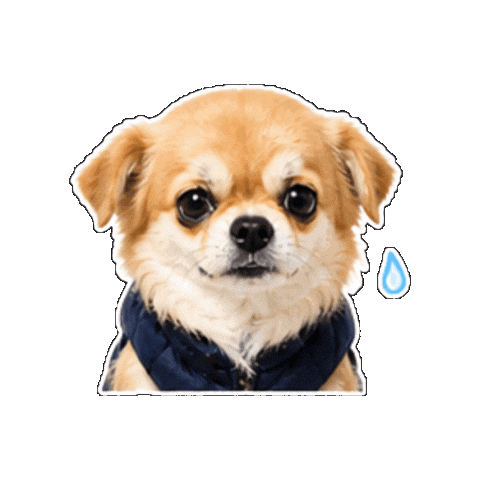 Taco Sticker by Smartsourcing
