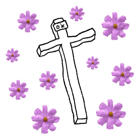 Crocetta GIF