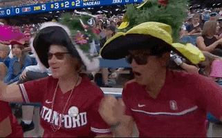 Fans Softball GIF by NCAA Championships