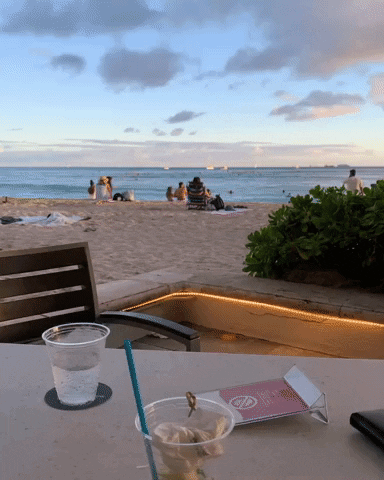 Beach Cheers GIF by NOSAM