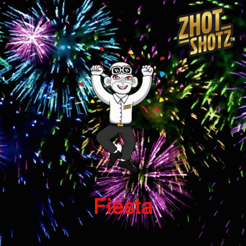 Party Vamos A Tomar GIF by Zhot Shop