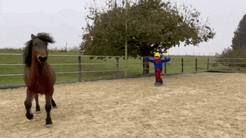 globiverlag GIF