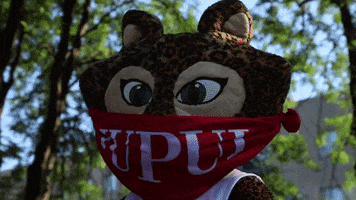 GIF by IUPUI