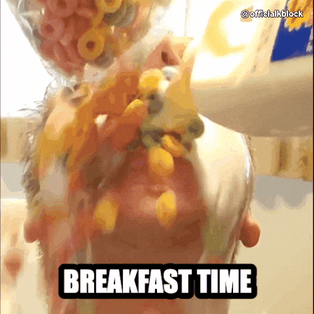Hungry Good Morning GIF