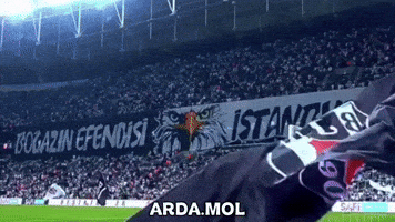Besiktas GIF