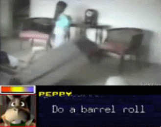 Barrel Roll Gif