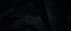 Jjk GIF