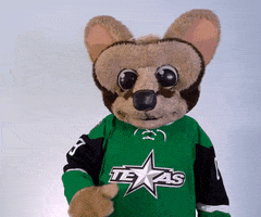 Sport Reaction GIF by Texas Stars Hockey