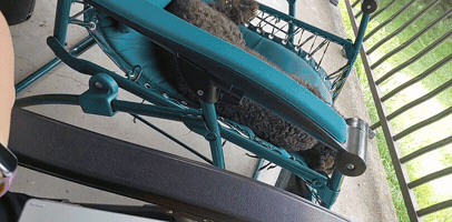Jardinier Paresseux GIF