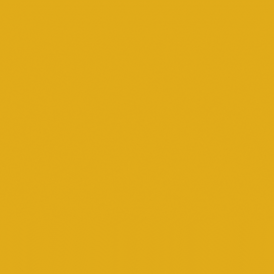 Parallel39 GIF