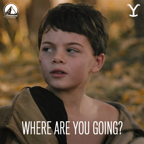 Where You Going Paramount Network GIF by Yellowstone