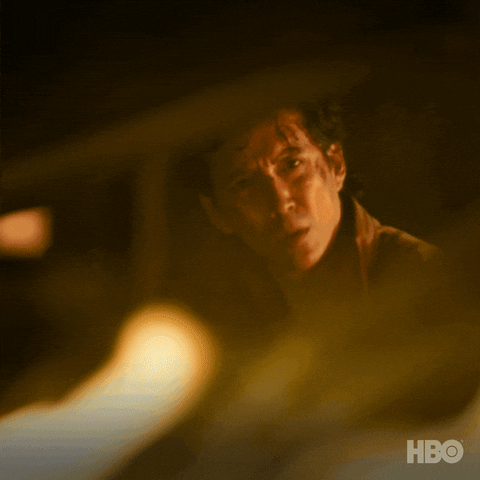The Last Of Us Wtf GIF by HBO