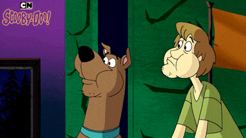 Scooby Doo Halloween GIF by Cartoon Network