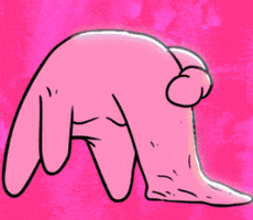 GIF by PFINNEY