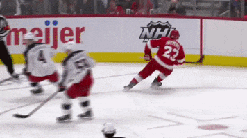 Red Wings Hockey GIF by Bally Sports Detroit
