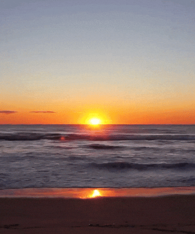 summer GIF (GIF Image)