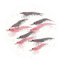Sea Ocean Sticker by De Aqua Vivo