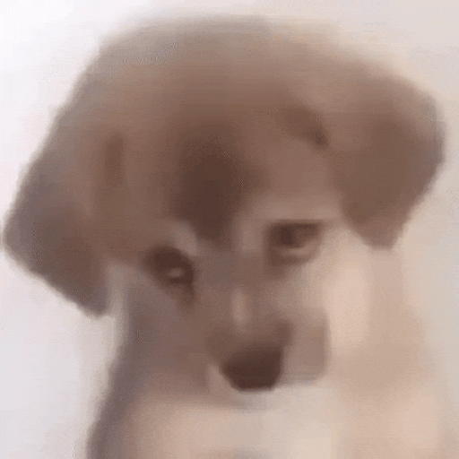 giphy.gif