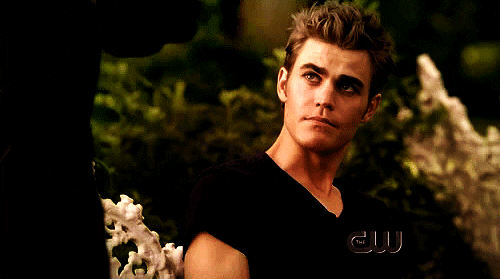 stefan salvatore