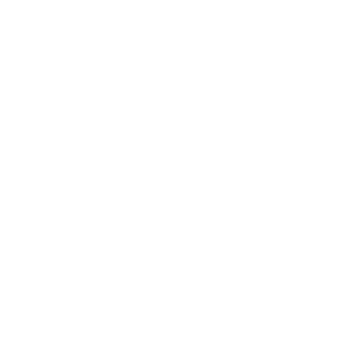 Strongestonestanding25 Sticker by Planet Fitness