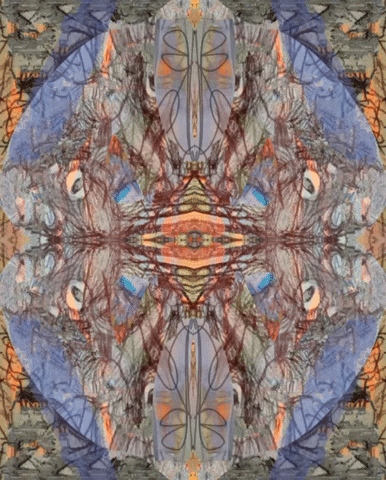 Art Kaleidoscope GIF by Luis Ricardo