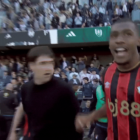 Lets Go Yes GIF by AFC Bournemouth