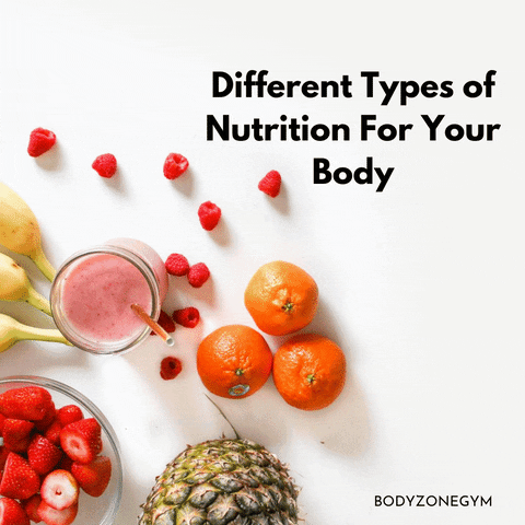 Type Of Nutrition GIF