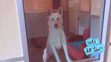 200.gif?cid=fc005b0869a13998333a7d5cdb9030dc5b4ff73b1d7fc173&rid=200.gif&ct=g