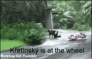 Wheel GIF