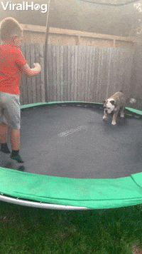 trampoline gif