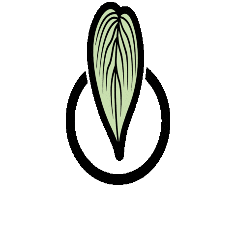 Plantlover Houseplants Sticker by pflanzenkarte