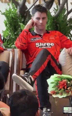 Ipl Sunrisershyderabad GIF