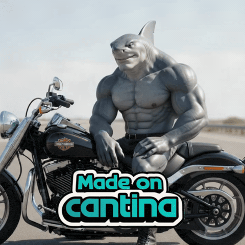 GIF by Cantina