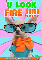 Henlo Hooman Fren GIF by PetJuvenate - PJ