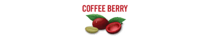 Energy Drink Coffee GIF by TOSOC