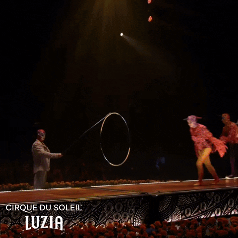 Fun Flipping GIF by Cirque du Soleil