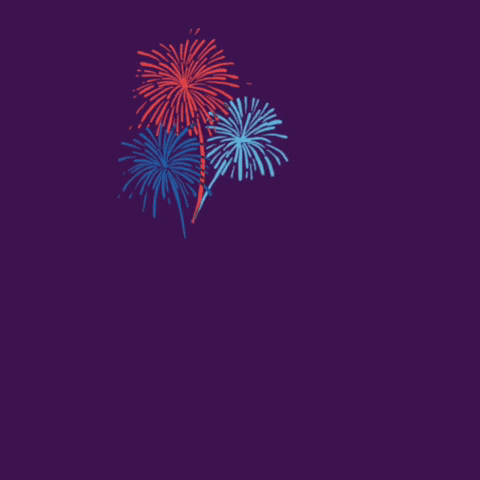 Independence Day Fireworks GIF by JWilsonPix