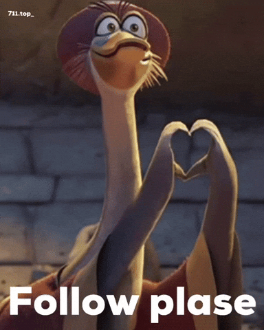 Follow Mm GIF
