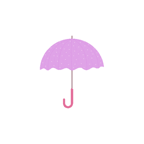 Rain Sticker