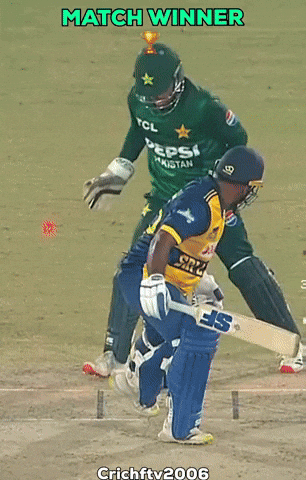 Pakistan Cricket GIF