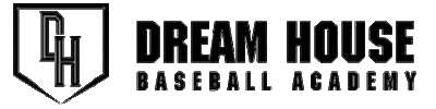 Baseball Sticker