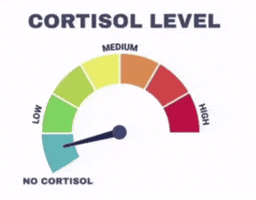 Cortisol GIF